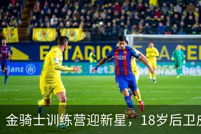 金骑士训练营迎新星，18岁后卫皮帕里宁开始NHL之旅